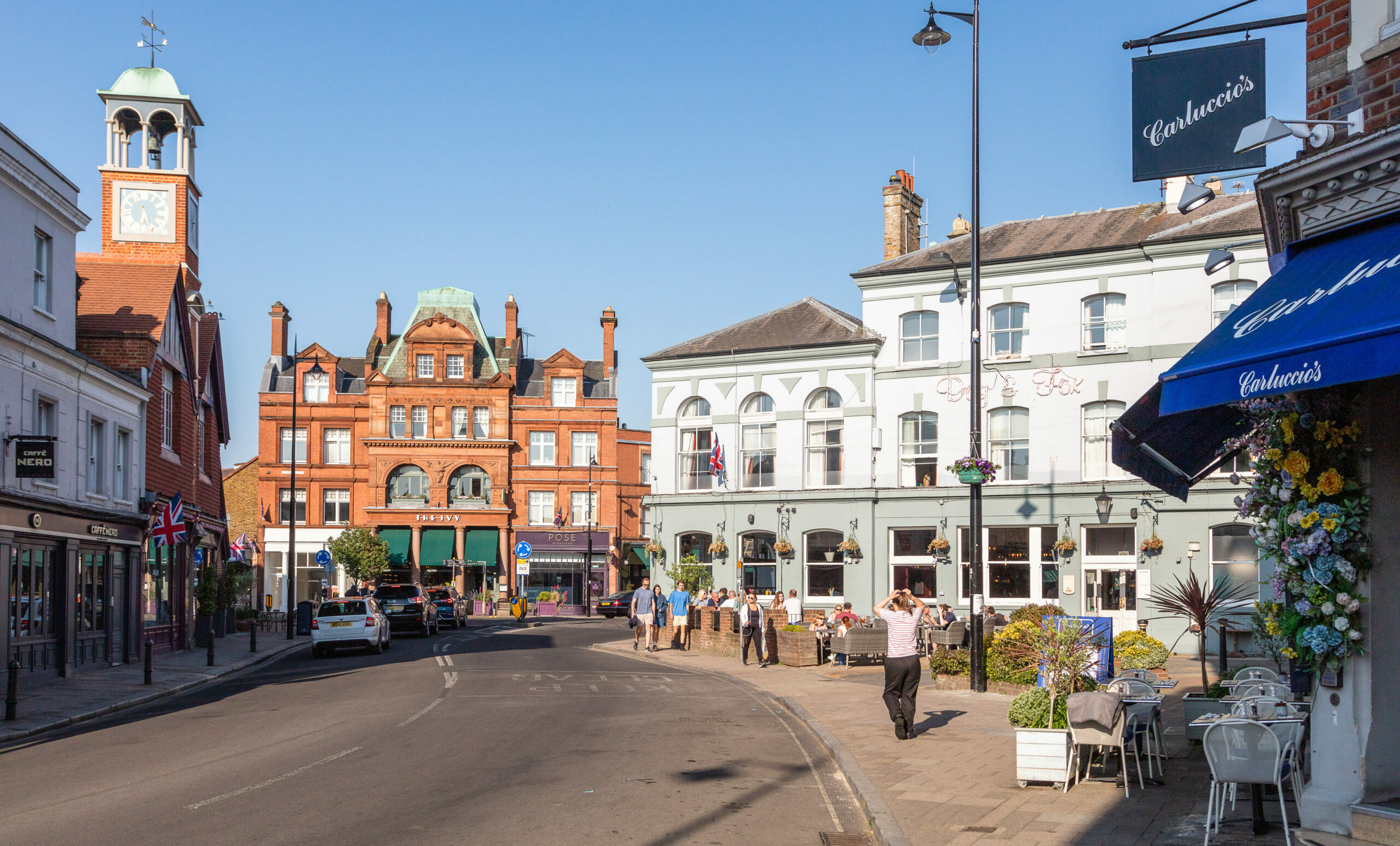 Our Story South West London Vineyard